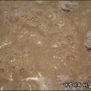 빵내음 솔솔 이미지