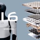 현대자동차해체재활용산업 | AI시대, 테슬라 전기차를 넘어 산업 시스템이 되다.