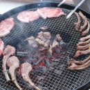 자연숲 펜션 이미지