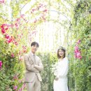디아스튜디오 이미지