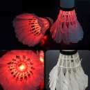 배드민턴(야간) 이미지