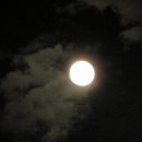 아름다운 그님 이미지