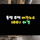 성자상회 이미지