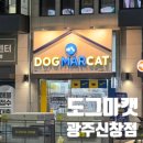 도그마캣광주 - 서구 운천로 43 | 도그마캣광주