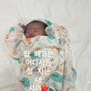 거제생각속의집펜션1 | [공지] 아기랑 거제 생각속의집펜션 디럭스2호 코르시카룸 후기