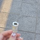 정규영 | 종말되는 모든 것들을 껴안을 수는 없을까