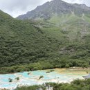 황룡택시 이미지