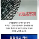 둥지원 이미지