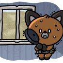 제이제이오토 이미지