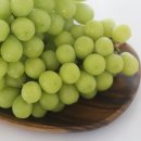 유목농장 이미지