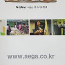 법인솔티 이미지