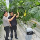 엘케이팜 이미지