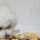 빵긋댕긋 이미지