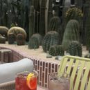 선인장 | 연산동 이색 데이트 코스 추천! 주차 편한 대형 선인장 카페 칵터스 방문 후기🌵