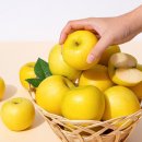 (주)더조은 이미지