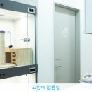 힐링힐스 동물 치과병원 이미지