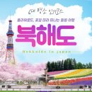 로드플라워