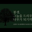 [봉생병원73주년] “봉생” 그늘을 드리우는 나무가 되기까지 이미지