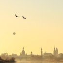 운이좋아 이미지