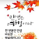 11월1일 (수요일) 아침인사~ 이미지