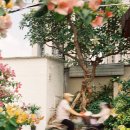 만남의거리1 이미지