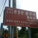 화신사 이미지