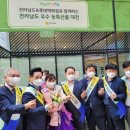 롯데백화점(강남점) 이미지