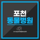 포천동물병원 네이버블로그