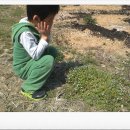 찬우농장 이미지