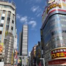 BMW라이브클럽 | 최애 부도칸 라이브 보려고 간 4박 5일 도쿄 여행기