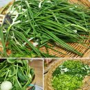 대관령원예농협 APC | 평창 절임배추10kg 아삭하고 부드러운 배추 대관령원예농협 김장후기