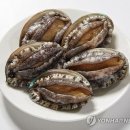 청산바다영어조합법인