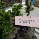 무지개문구사