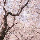 암곡와동 이미지