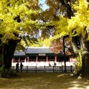 생명나무유치원 이미지