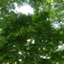 대흥회관 이미지