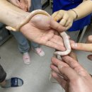 요술곰 동물원 이미지