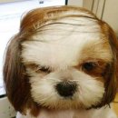 넌 이미지