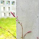 레아건축사사무소