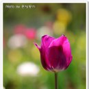 해여림식물원 이미지