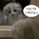 러키 이미지