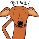 원앤온(one&one)