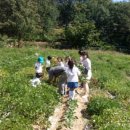 삼송농장 이미지