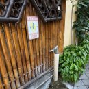 카카오호텔(Hotel Cacao) | 발리 꾸따] HOTEL TERRACE AT KUTA 호텔 테라스 앳...가성비 호텔 추천, 내돈내산 후기, 발리 공항 근처...