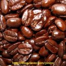 커피여행 이미지