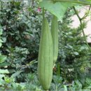 노동2리 이미지