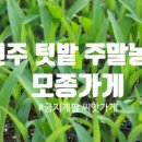 금지게팜씨앗가게 이미지