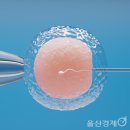 [신년 특집]저출생·저성장 해법, 난임 지원서 찾는다[울산경제신문]