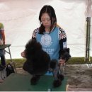 달성축산동물병원 이미지