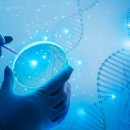 지앤바이오 이미지